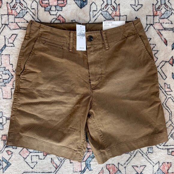 American Eagle Outfitters Other - American Eagle Classic 8"  Next Level Flex Shorts - size 28 NWT